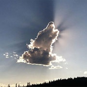 Looking for Figures in the Clouds