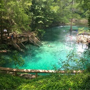 Madison Blue Spring State Park, Florida