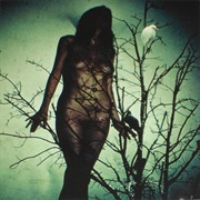 The Atlas Moth - An Ache for the Distance