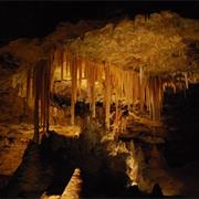 Australian Fossil Mammal Sites