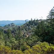 Robert Louis Stevenson State Park, California