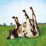 ...Native Hipsters There Goes Concorde Again