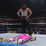 Diesel vs. Bret Hart,Survivor Series 1995