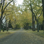 Huntington Woods, Michigan
