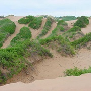 Beaver Dunes State Park, Oklahoma