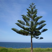 Norfolk Island, Australia