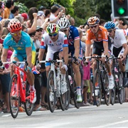 Road Bicycle Racing