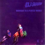 DJ Shadow - Midnight in a Perfect World