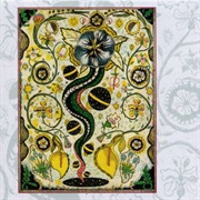 Steve Earle - I Feel Alright