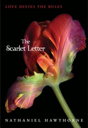 The Scarlet Letter (Nathaniel Hawthorne)