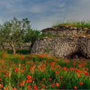 Alta Murgia National Park, Italy