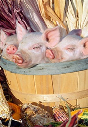 A TALE OF JERUSALEM (Edgar Allan Poe)