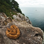 Ilha De Queimada Grande / Snake Island, Brazil