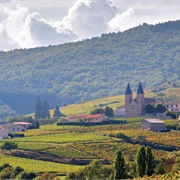 Beaujolais, France
