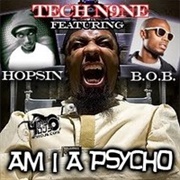 Am I a Psycho-Tech N9ne