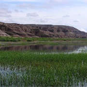 Ouray National Wildlife Refuge