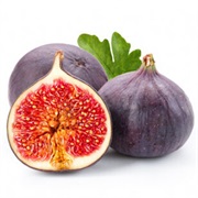 Common Fig