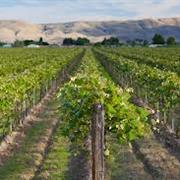 Yakima Valley