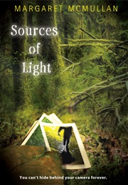 Sources of Light (Margaret McMullan)