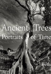 Ancient Trees: Portraits of Time (Beth Moon)