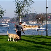Bebek Park
