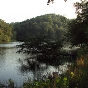 Greenbo Lake State Resort Park, Kentucky