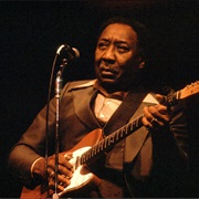 Muddy Waters