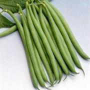 French Bean