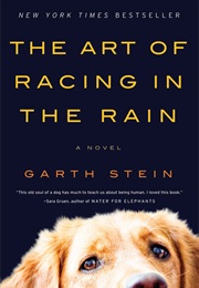 From a Non Human Perspective (Art of Racing in the Rain)