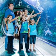 National Sea Life Centre