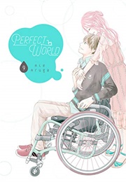 Perfect World Vol. 9 (Rie Aruga)