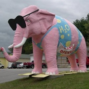 Pink Elephant, Cookeville, Tennessee