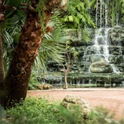 Zilker Botanical Gardens