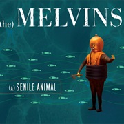 Melvins - A Senile Animal