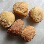 Hunza Apricot