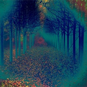 Mystical Forest Angelina Jensen