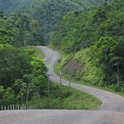 The Hummingbird Highway