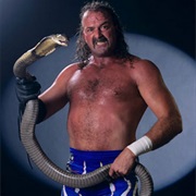 Jake Roberts
