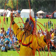 Moundville Native American Festival