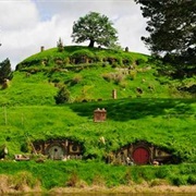 Visited the Sets/Studios of Any Movies/TV Shows