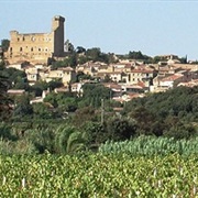 Wine Tasting in Chateauneuf De Pape