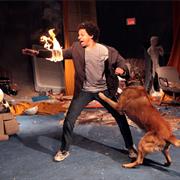 The Eric Andre Show