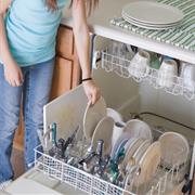 Loading the Dishwasher