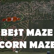 Bestmaze Corn Maze