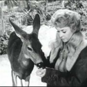 The Beverly Hillbillies: No Place Like Home