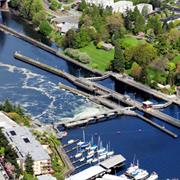 Hiram M. Chittenden Locks