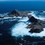 Farallon Islands, CA, USA