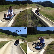 Alpine Sledding