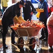 Yeongdeok Crab Festival