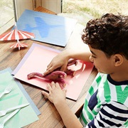 Sun Prints (Discover the Power of UV Radiation)